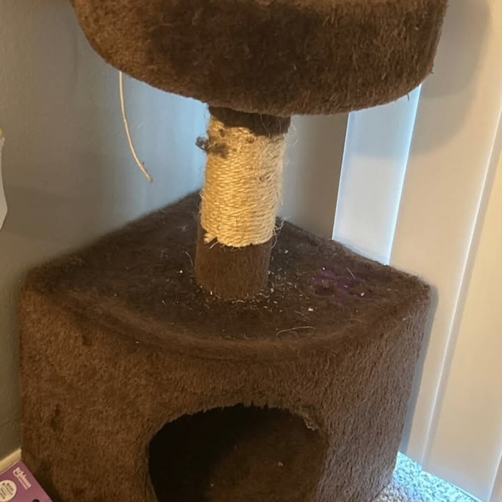 cat tree- dark brown